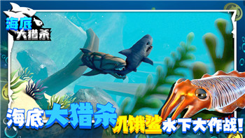 战争游戏红龙英文怎么说的？解析《战争游戏：红龙》的英文名称与游戏背景