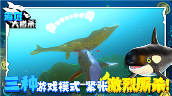 探秘《寻道大千》灵兽协同战力提升指南！
